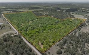TBD County Road 109 - Photo 1
