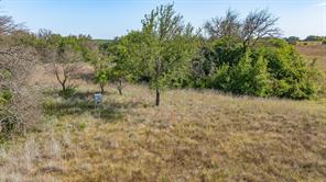 523 Ava Grace Lane - Photo 1
