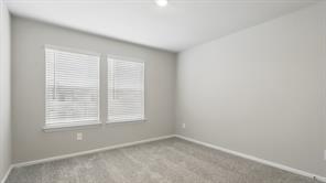 3004 MAPLE ORCHARD Lane - Photo 34