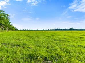 TBD Lot 4&5 W Cedar Creek Parkway W - Photo 4