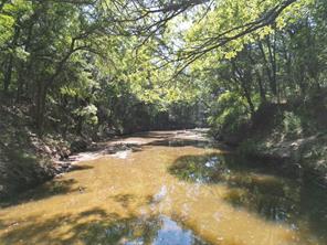 TBD Co Rd 351 - Photo 4