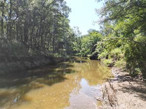 TBD Co Rd 351 - Photo 7