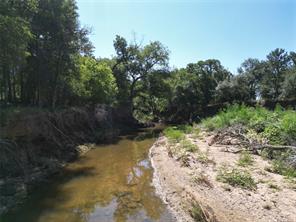 TBD Co Rd 351 - Photo 8