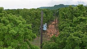 2300 Cobb Hollow Road - Photo 10
