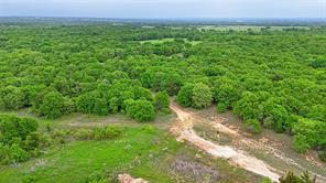2300 Cobb Hollow Road - Photo 13