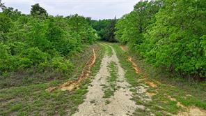 2300 Cobb Hollow Road - Photo 15