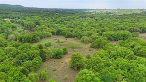 2300 Cobb Hollow Road - Photo 18