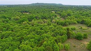 2300 Cobb Hollow Road - Photo 2