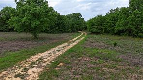 2300 Cobb Hollow Road - Photo 20