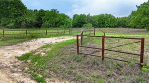 2300 Cobb Hollow Road - Photo 21