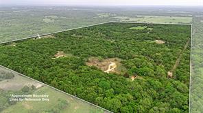 2300 Cobb Hollow Road - Photo 28
