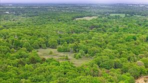 2300 Cobb Hollow Road - Photo 3