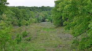 2300 Cobb Hollow Road - Photo 8