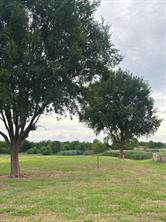 501 Smith Road - Photo 2