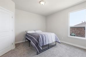 14157 Cassiopeia Drive - Photo 21