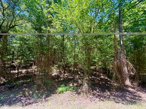 0 CR 1755 - Photo 2
