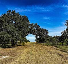 5075 Hwy 22 - Photo 3