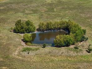 1200 County Road 27450 - Photo 4