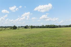 3738 Country Road 222 - Photo 34