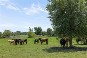3738 Country Road 222 - Photo 37