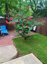 815 Haynes Street - Photo 11