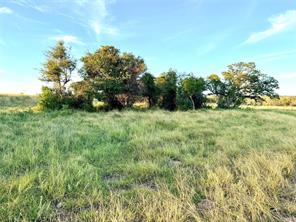 130 County Road 120 - Photo 11
