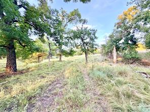 130 County Road 120 - Photo 24