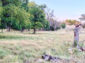 130 County Road 120 - Photo 39