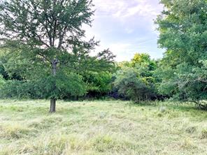 130 County Road 120 - Photo 4