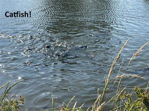 14324 FM 1394 - Photo 5