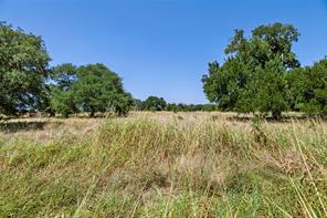 461 Grand Canyon Drive - Photo 18