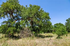 461 Grand Canyon Drive - Photo 25
