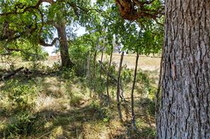 461 Grand Canyon Drive - Photo 27