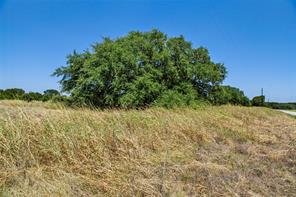 461 Grand Canyon Drive - Photo 35