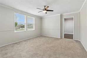 2901 Montague Trail - Photo 26