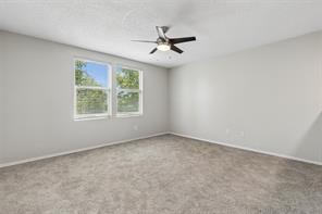 2901 Montague Trail - Photo 28