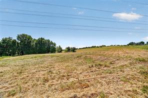 2024 Big Cedar Court - Photo 18