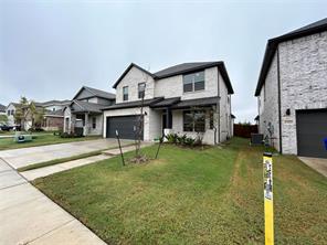 1323 Great Sand Dune Street - Photo 1