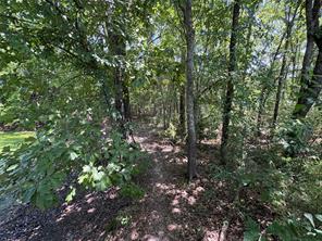 3056 County Road 2436 - Photo 27