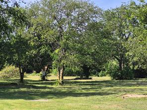 1120 Battle Lake Road - Photo 4