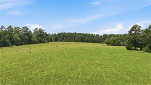 931 PR 5140 - Photo 40