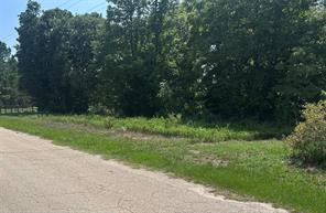 TBD CR 3841 - Photo 1