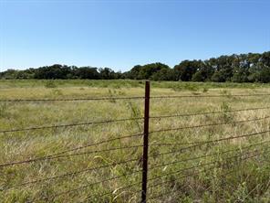 3069 County Road 423 E - Photo 8