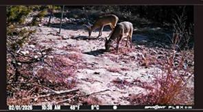 UNK Fm 1991 - Photo 40