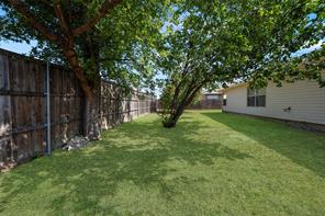 1024 Lake Trail Drive - Photo 24