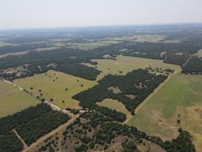TBD 168 Acres FM 1956 - Photo 1