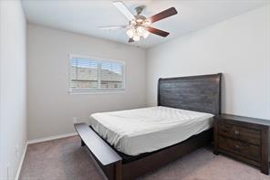 2833 Bellflower Drive - Photo 8