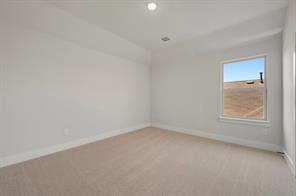 1732 Nesting Robin Lane - Photo 25