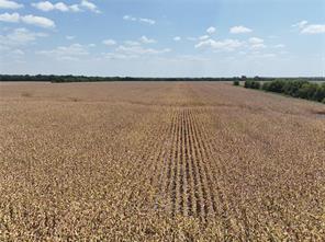 TBD County Road 26850 - Photo 7
