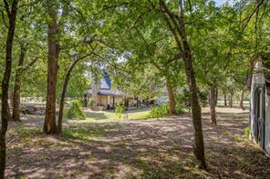 1129 Crazy Horse Trail - Photo 36
